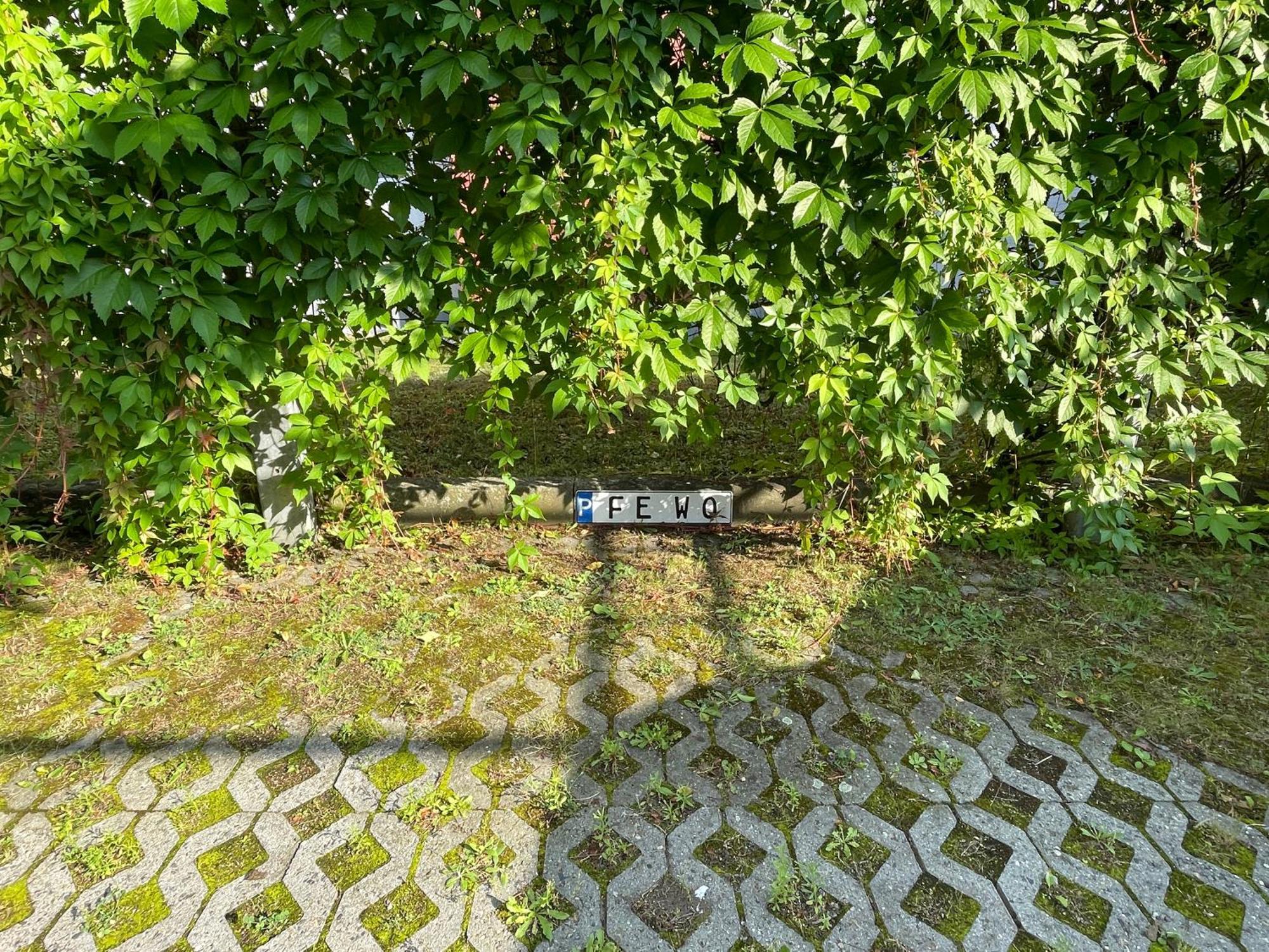 Apartment Rooftop Δρέσδη Εξωτερικό φωτογραφία